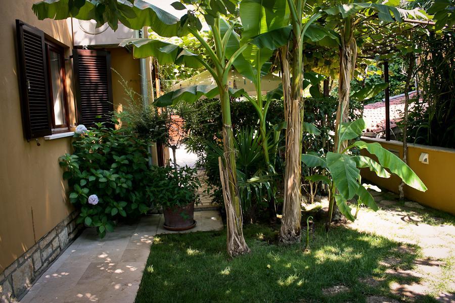 Villa Dolores ロヴィニ エクステリア 写真